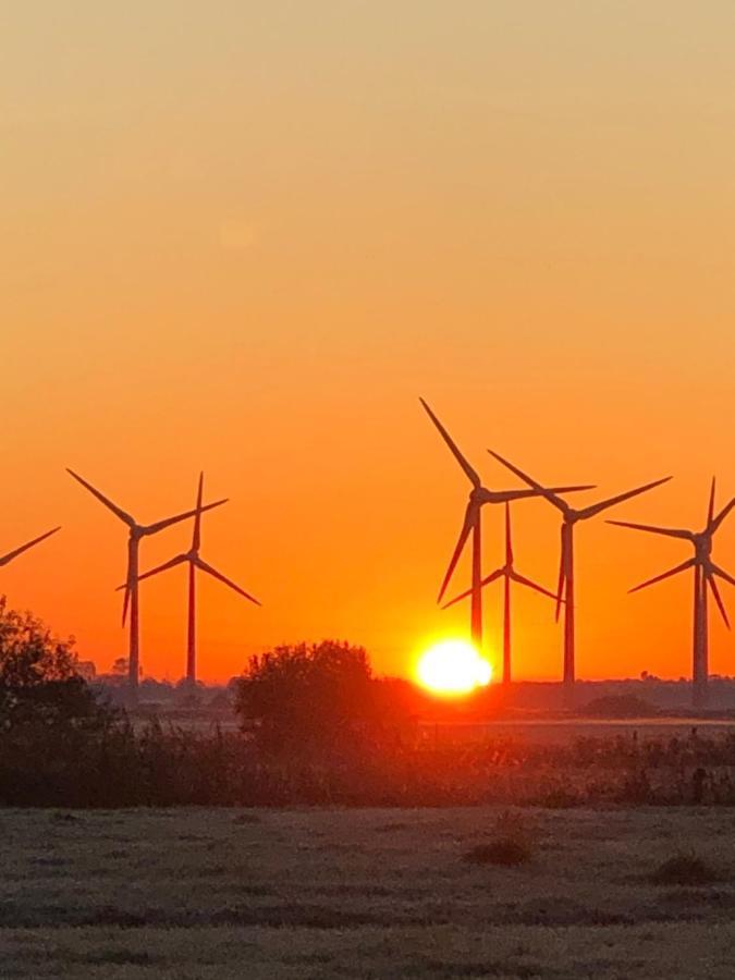 Trekvogels Hoern Dornum Exterior foto